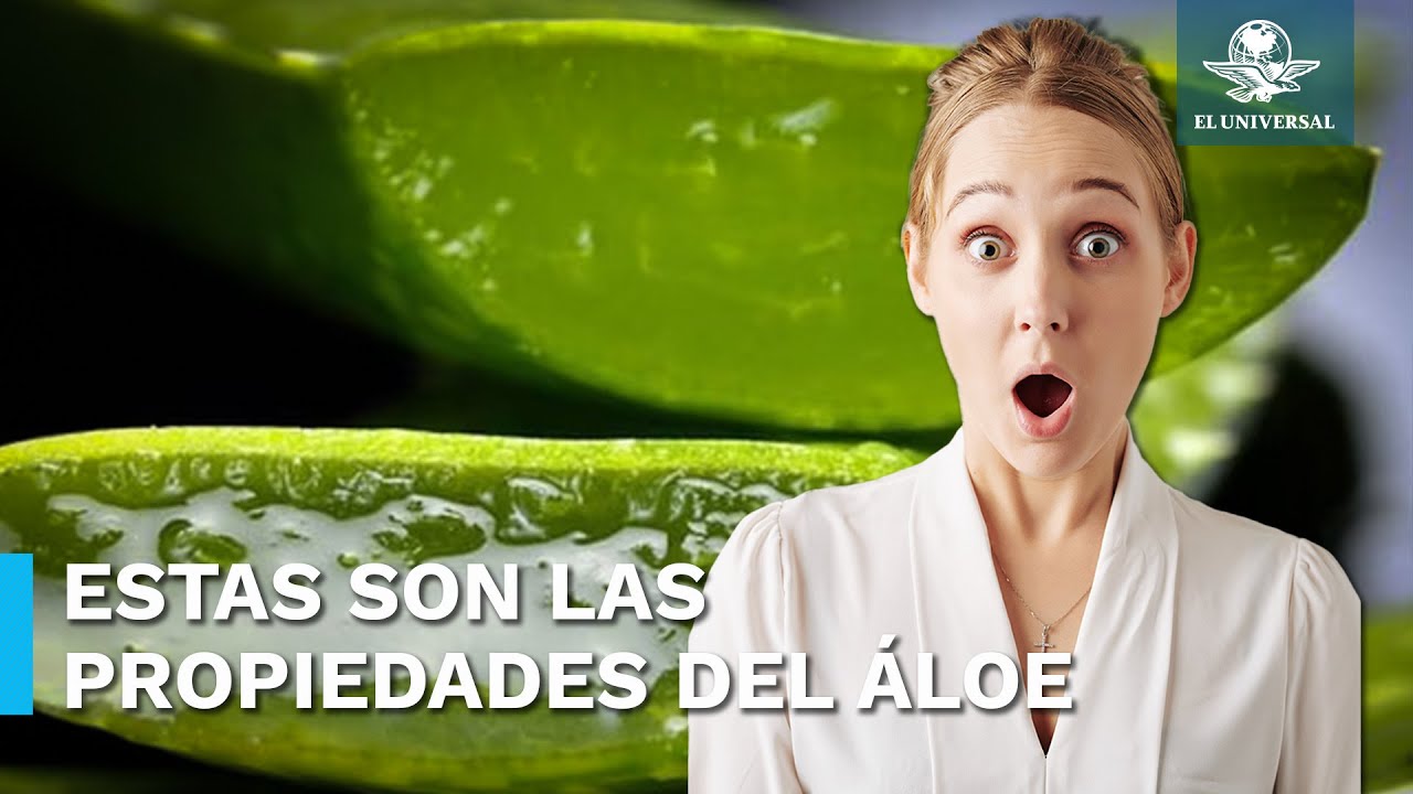 aloe vera para que sirve como planta medicinal