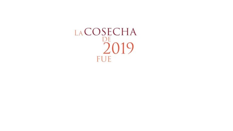 calificacion de añadas de ribera del duero