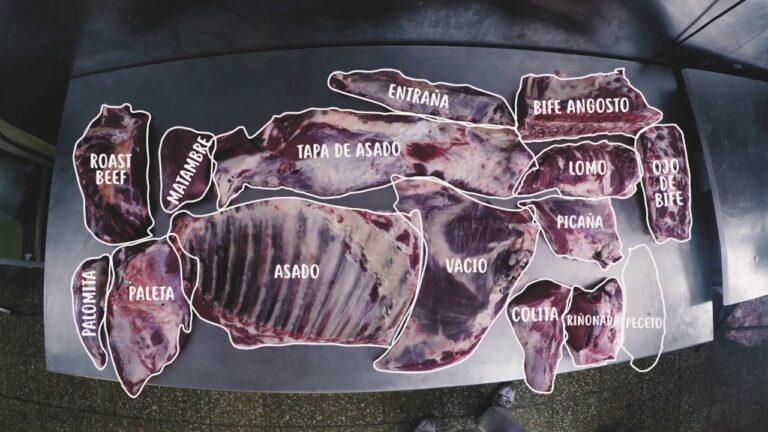 carne picaña de que animal es