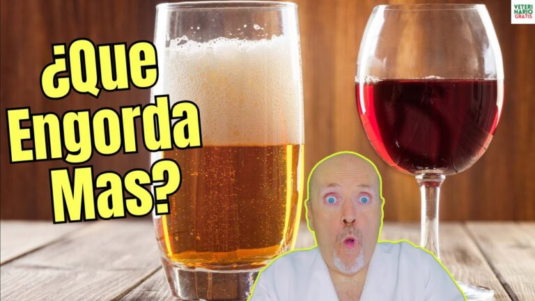 cerveza o vino cual es mas saludable
