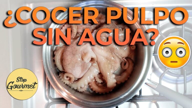 cocer pulpo en olla express sin agua