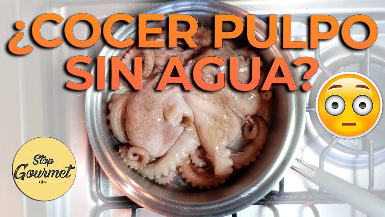 cocer pulpo en olla express sin agua
