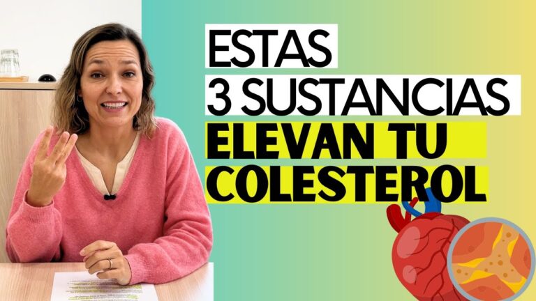 colesterol alto que alimentos no se deben de consumir