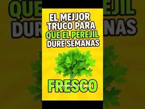 como conservar el perejil fresco por mas tiempo