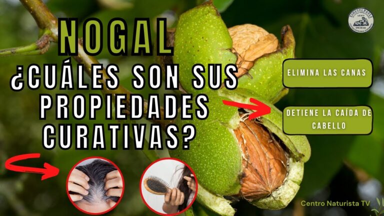 como es la hoja del nogal