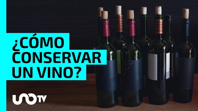 como guardar el vino de pie o tumbado