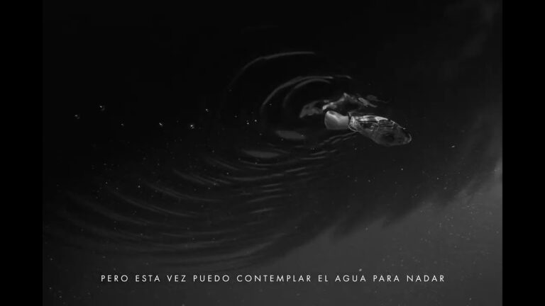 como pez en el agua restaurante