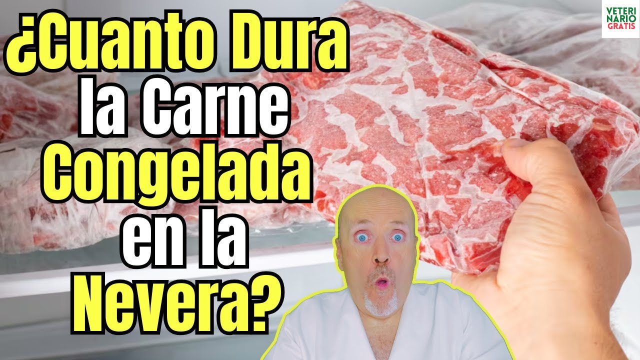 como saber si la carne congelada está mala