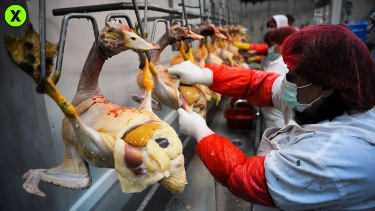 como se hace el foie de pato