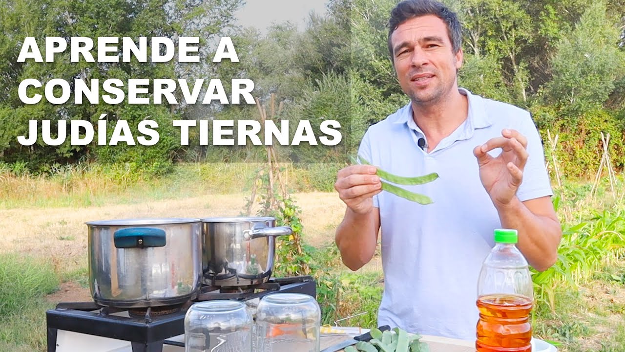 conserva de judias verdes en tarros