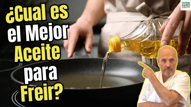 cual es el mejor aceite para freir patatas