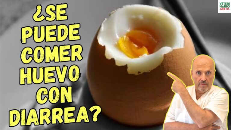 cuando tienes diarrea puedes comer huevo