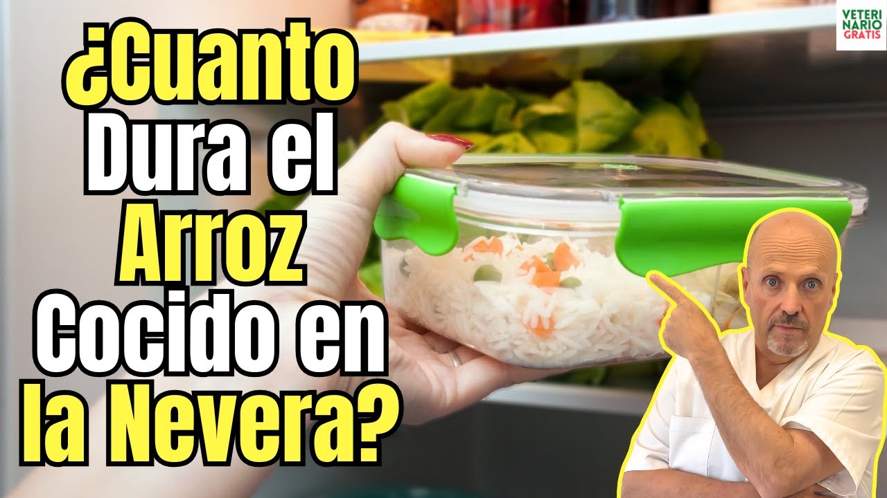 cuanto dura la comida en el frigorifico