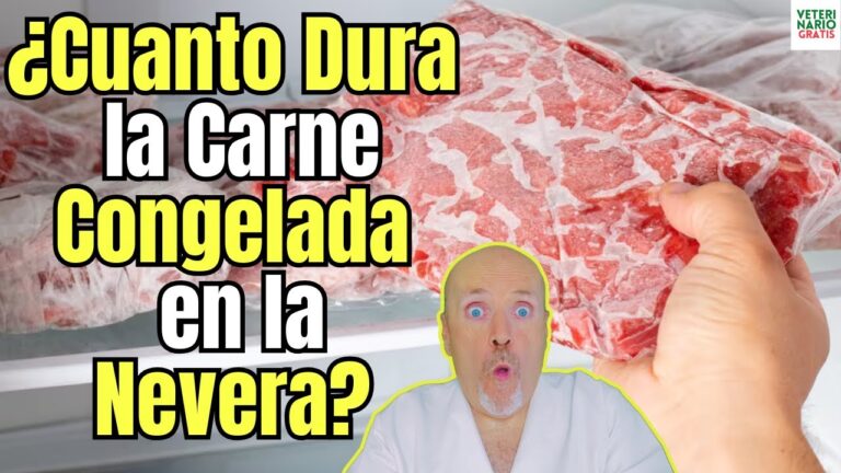 cuanto puede estar la carne congelada