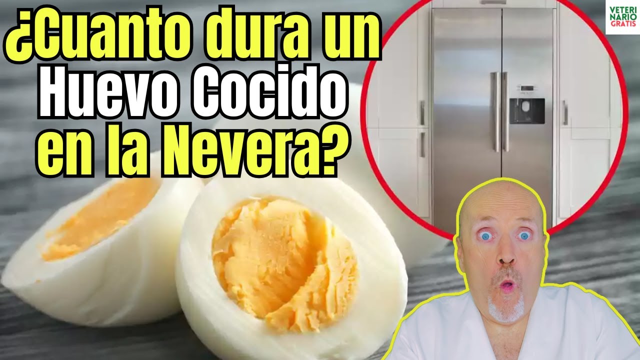 cuanto tiempo dura un huevo duro