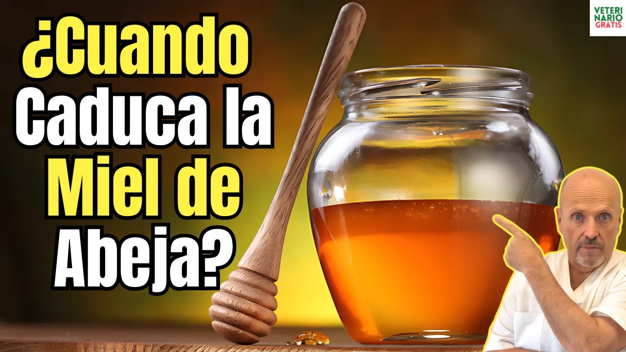 cuanto tiempo se conserva la miel