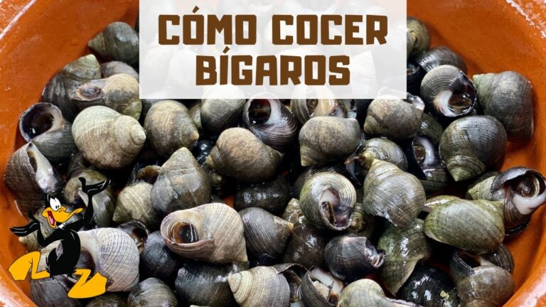 cuanto tiempo se cuecen los bigaros