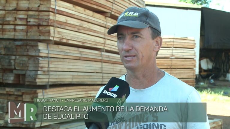 cuanto tiempo tarda en crecer un eucalipto
