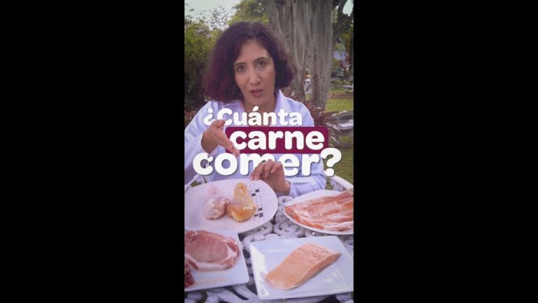 cuantos gramos de carne por persona