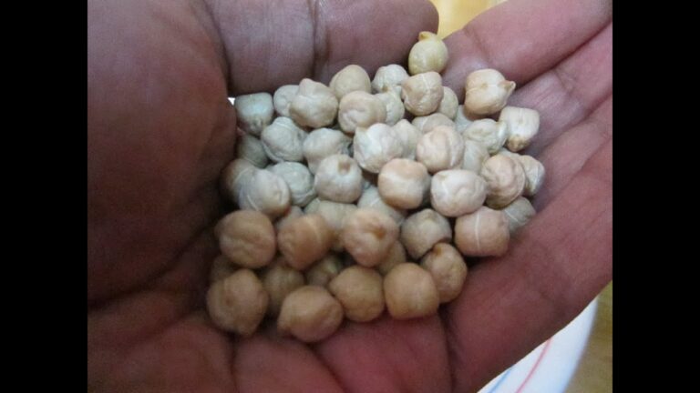 cuantos gramos de garbanzos por persona