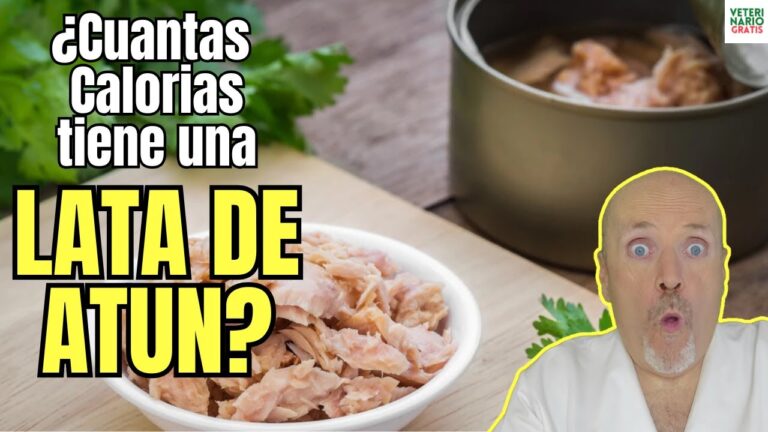 cuantos gramos de proteina tiene una lata de atun
