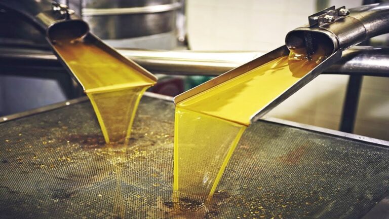 cuantos litros de aceite da un olivo