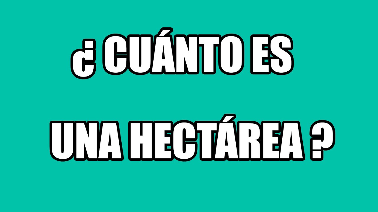 cuantos metros cuadrados tiene una hectaria