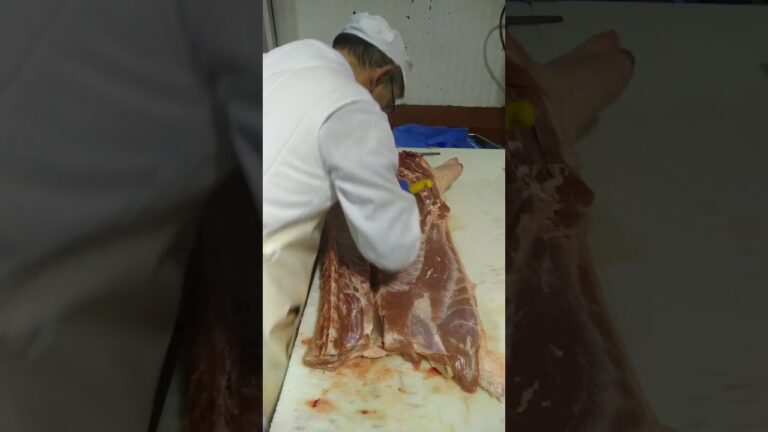 de donde sale la presa iberica