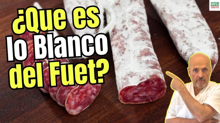 de que esta echo el fuet