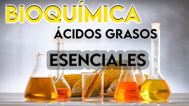 donde se encuentran los acidos grasos esenciales
