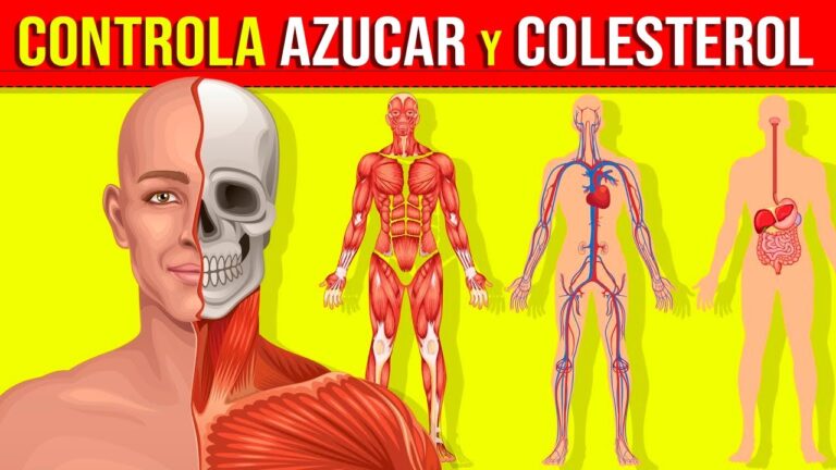 el azúcar es malo para el colesterol