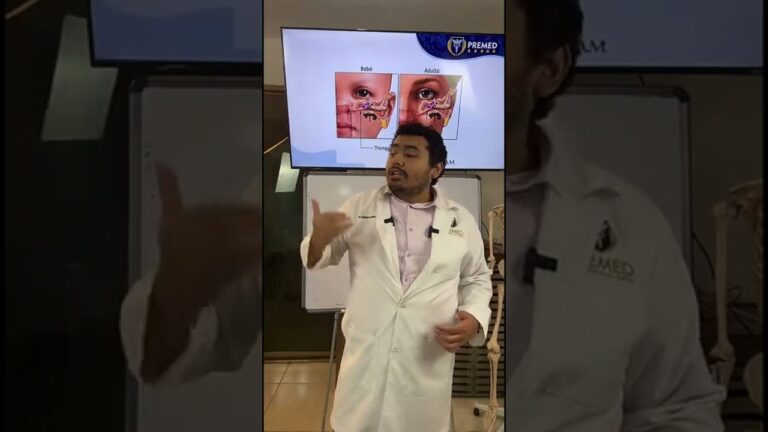 el oido y la nariz estan conectados