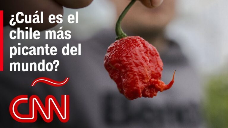 el picante más picante del mundo