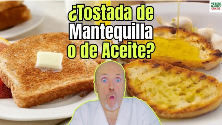 es sano desayunar pan con aceite