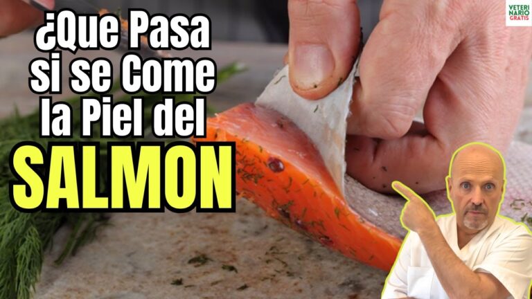 la piel del salmon se come