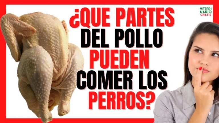 los perros pueden comer huesos de pollo