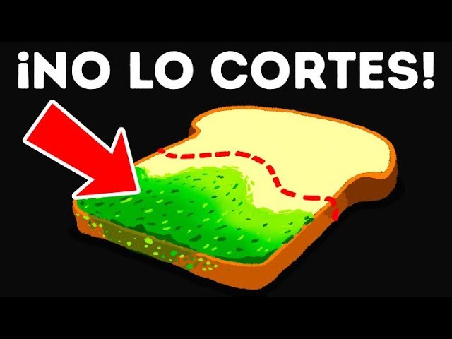 pan con moho se puede comer