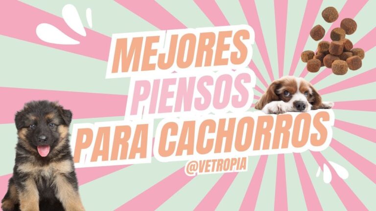 pienso para cachorros bueno y barato