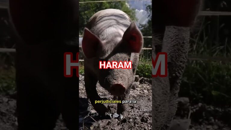 porque el coran prohibe comer cerdo