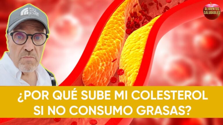 porque sube el colesterol si no como grasas