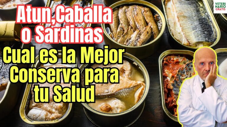 propiedades de la caballa en lata
