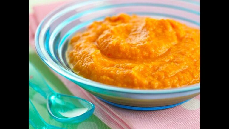 puré de verduras con carne para ancianos