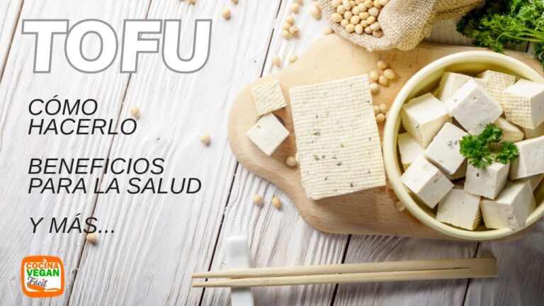 que es el tofu y para que se utiliza