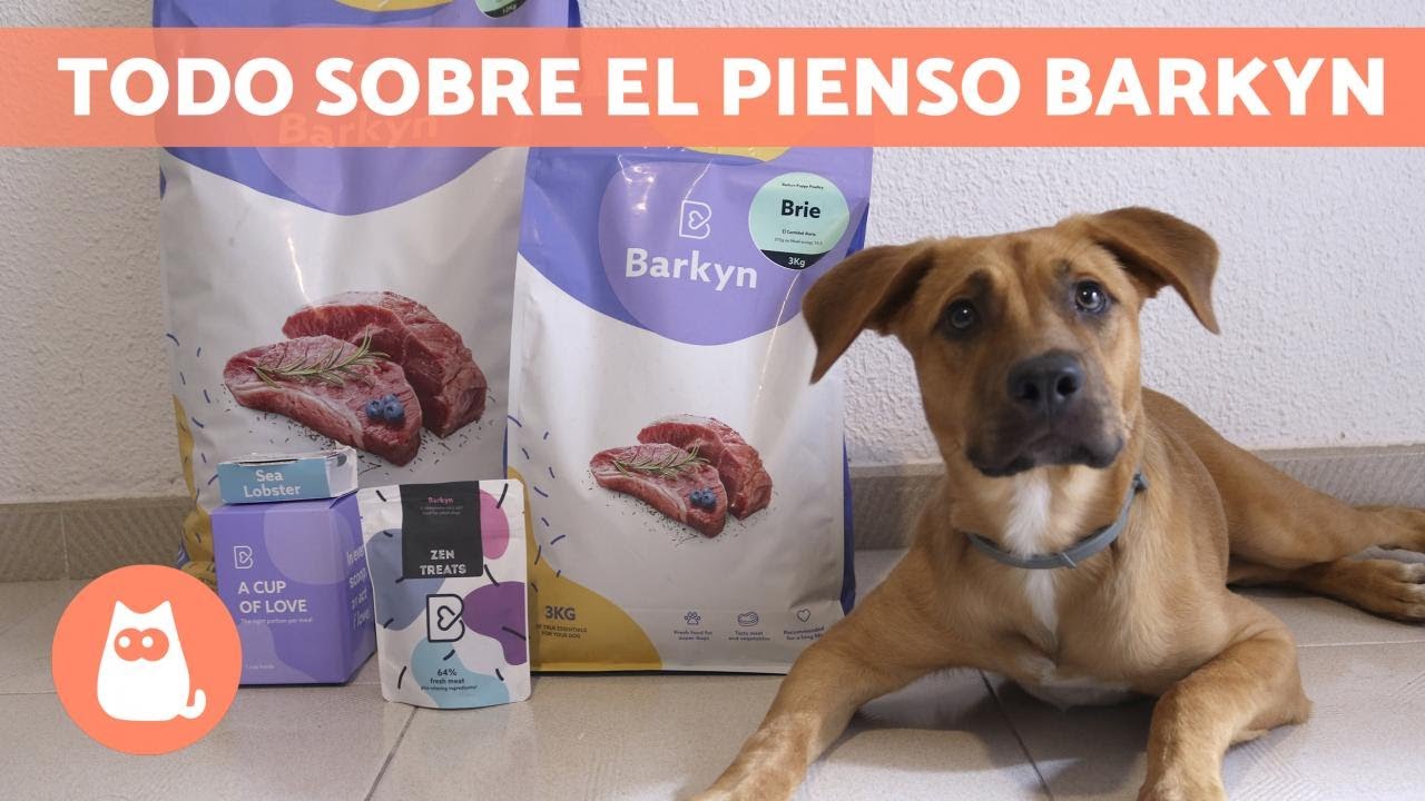 que lleva el pienso de perro