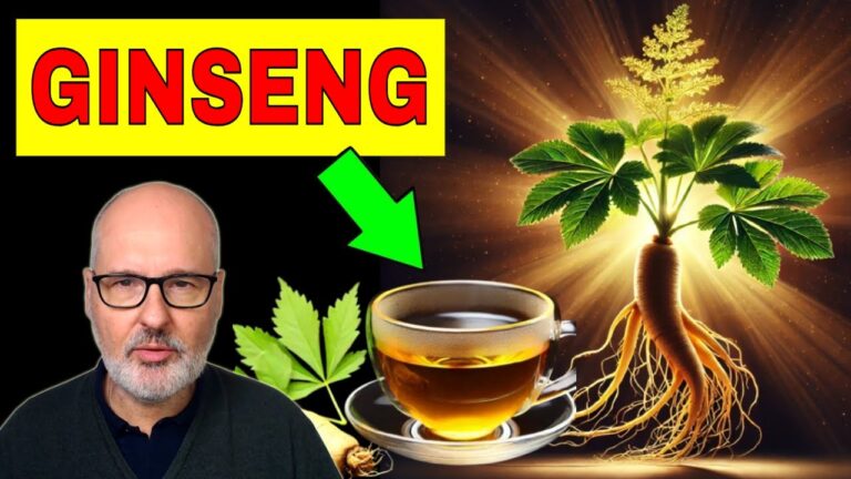 que son las raices de ginseng