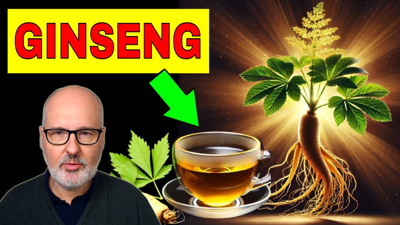 que son las raices de ginseng