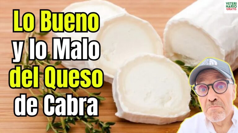 queso de cabra es bueno para la dieta