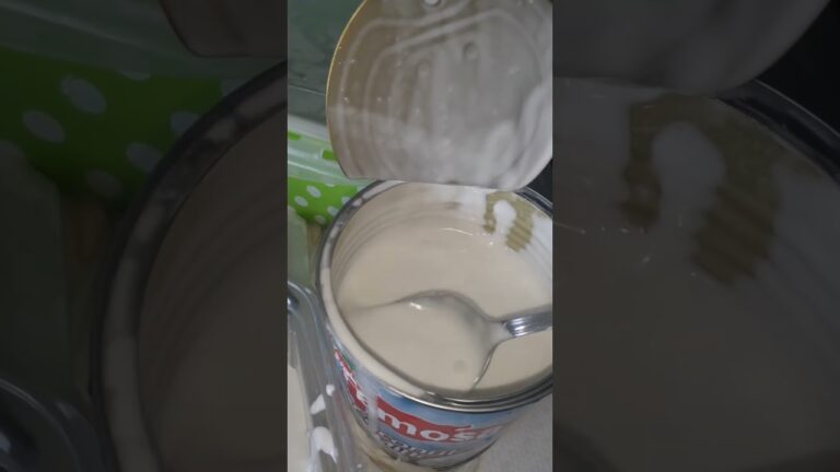 recetas con leche de coco enlatada