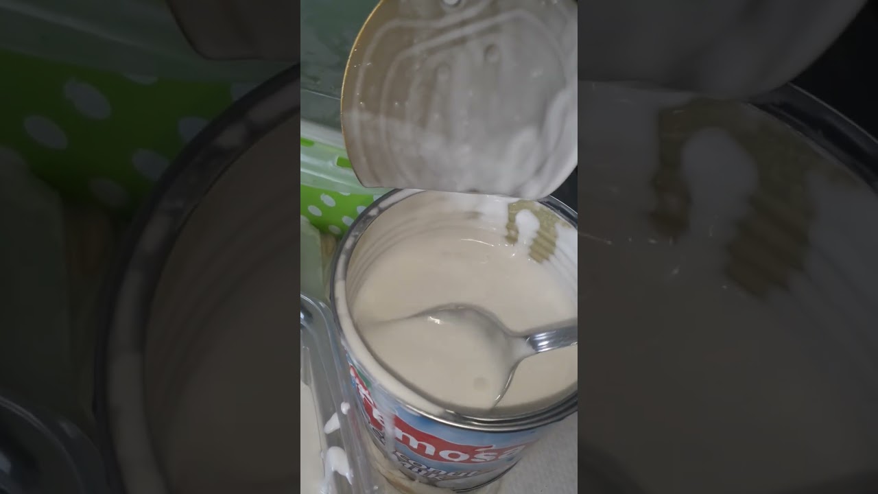 recetas con leche de coco enlatada