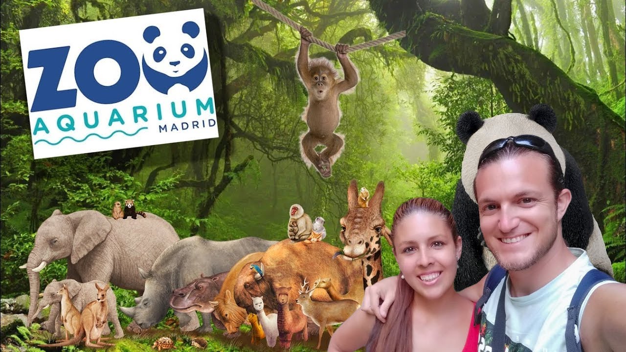 restaurantes en el zoo de madrid